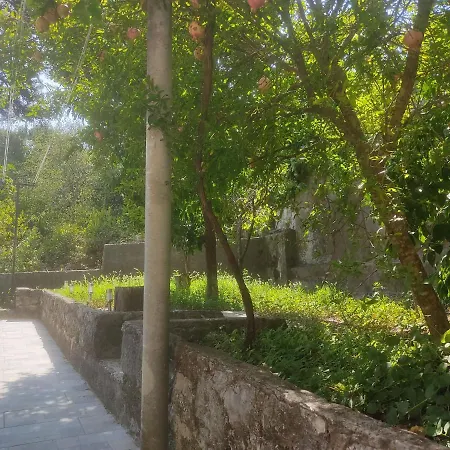 Arbanas דירה דוברובניק